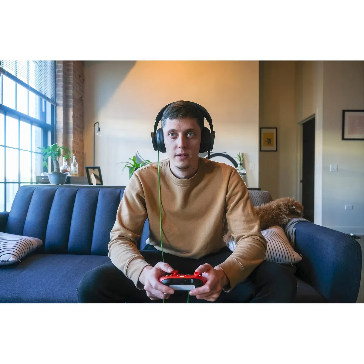 Microsoft Xbox Stereo Headset Cuffie Cablate