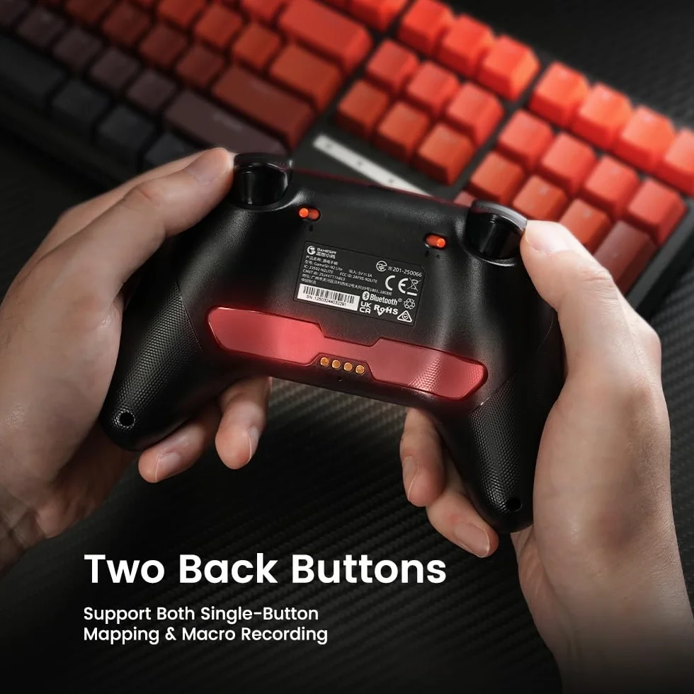 GameSir Nova 2 Lite Controller wireless con joystick ad effetto Hall e trigger, frequenza di polling 2.4G e Wired 1000Hz, Turbo, PC GamePad compatibile con PC/Switch/Steam/iOS/Android (nero)