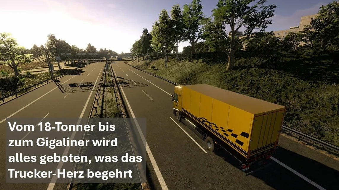 Truck Simulator - On the Road Truck (PlayStation PS4): LKW - Simulator